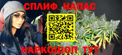 молекула духа Донецк
